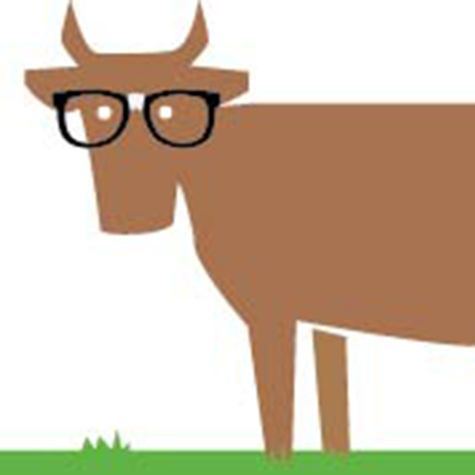 Cow graphic