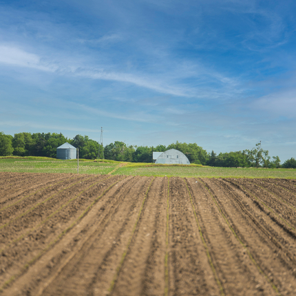 farm scene
