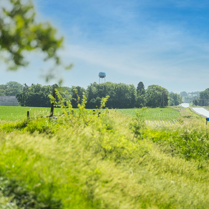 paisaje de verano con la ciudad de fondo