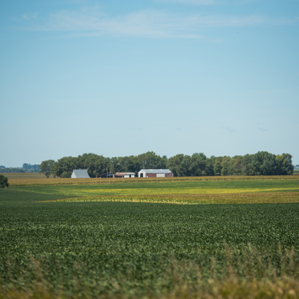 bean fields with farm place in background