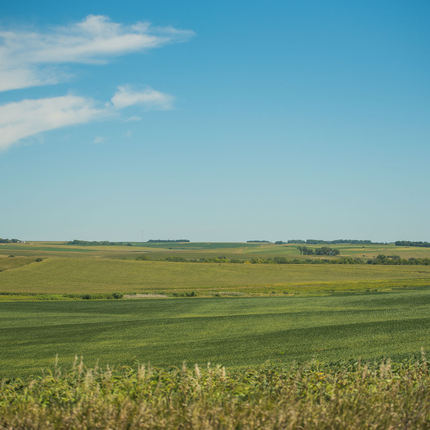 Campo CSP