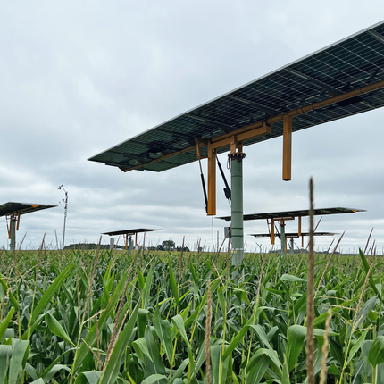 A solar array lies horizontal, towering over a corn field. Several arrays are in the background.