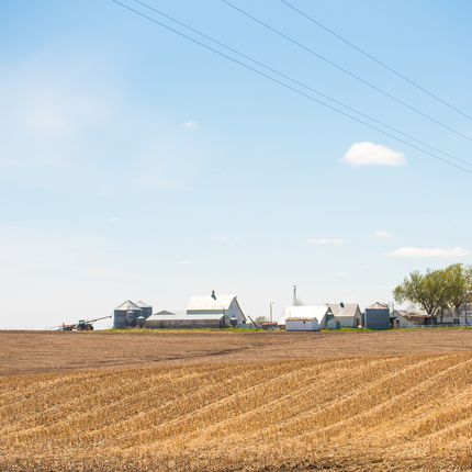 Field after harvest