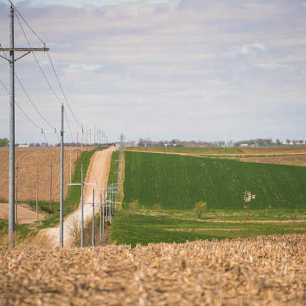 Camino rural
