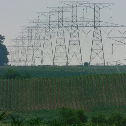 Una línia de transmissió d'energia és adjacent a un camp de blat de moro en un turó. 
