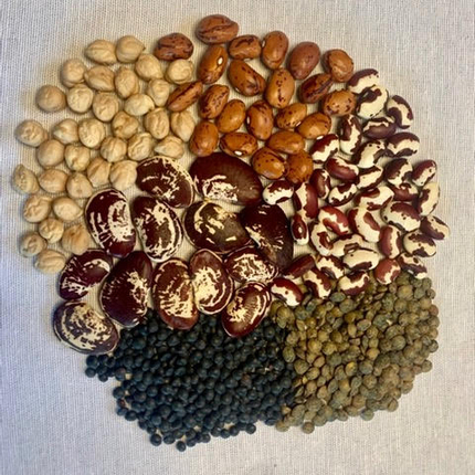 six types of dry beans arranged in a circle