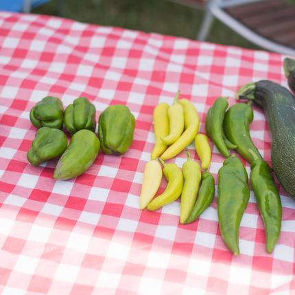 Vegetables on a farmers market table