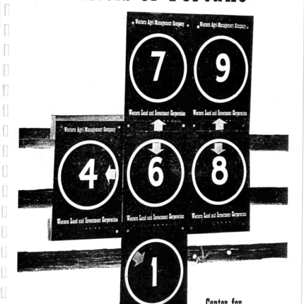 Cover of Wheels of Fortune report