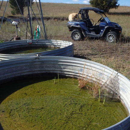 wildlife escape ramp in cattle tank