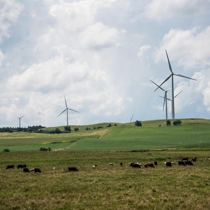 Wind Turbines - Crofton