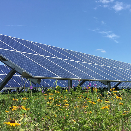 solar panels in field 