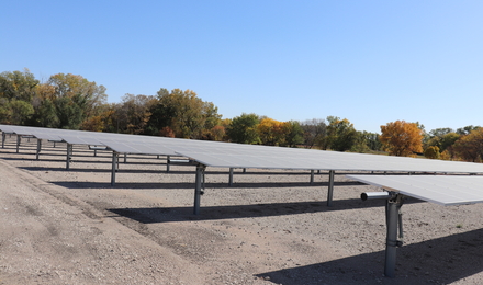 Varios paneles solares vistos de lado con suelo marrón debajo y árboles en el fondo.