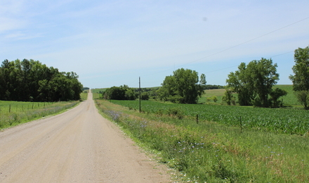 camino de ripio rural