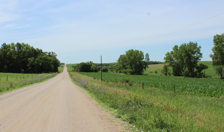 rural gravel road
