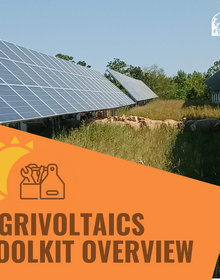 A photo of solar panels with long grass and sheep beneath the panels. An orange box with brown letters on the bottom says, Agrivoltaics Toolkit Overview.