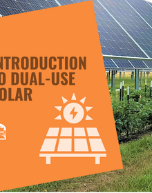 Graphic that says "Introduction to Dual-Use Solar" in dark type on an orange background, with the Center for Rural Affairs logo in the lower left hand corner and a sun + solar panel graphic in the center. On the right is a photo of solar panels over vegetation tied to fence posts.