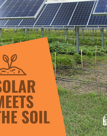Looking at a bank of solar panels straight on with crops underneath. An orange box with brown lettering says Solar Meets Soil.