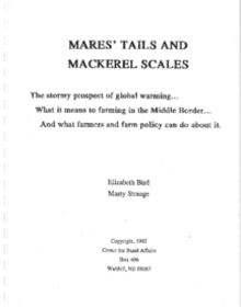 Click here to read the pdf of the report