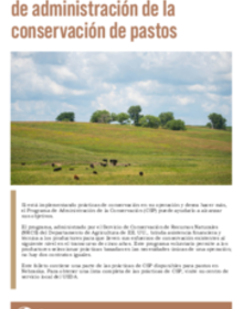 Haz clic en la imagen para descargar
