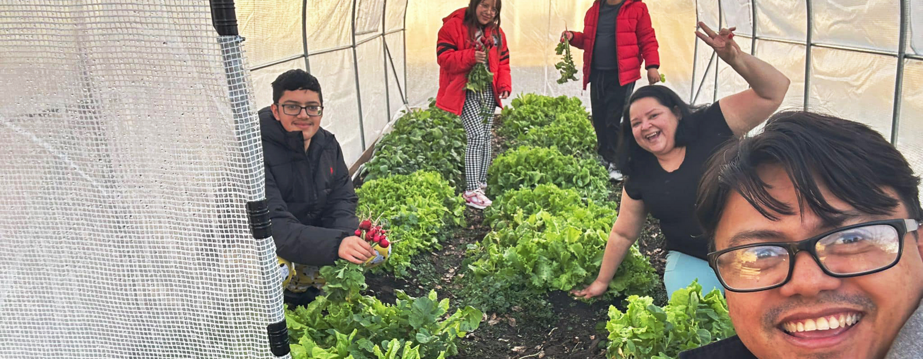 Family stands in a hoop house with various lettuces on the ground.