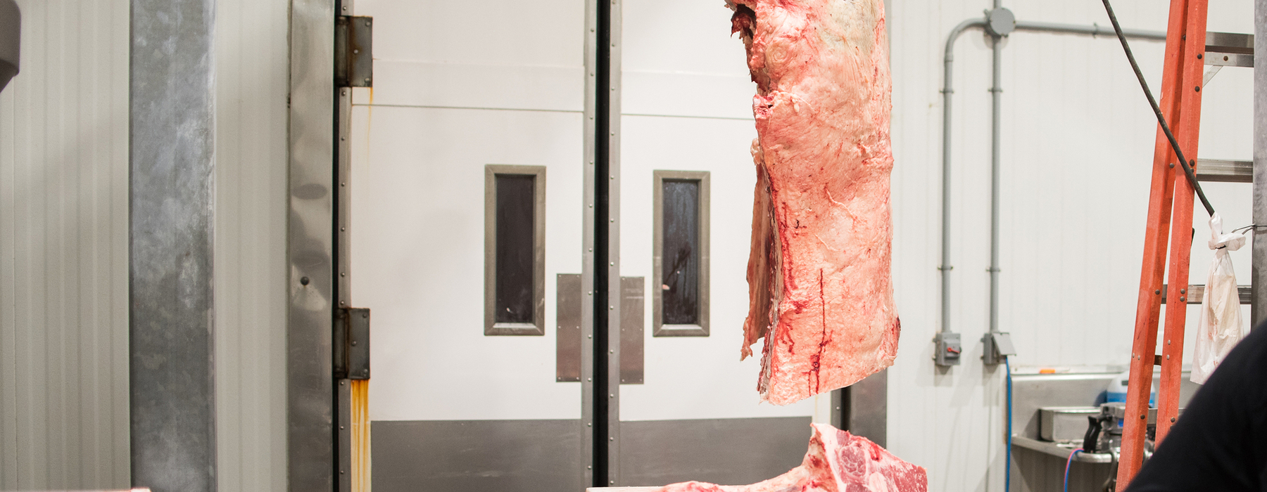 Meat locker interior; hanging meat