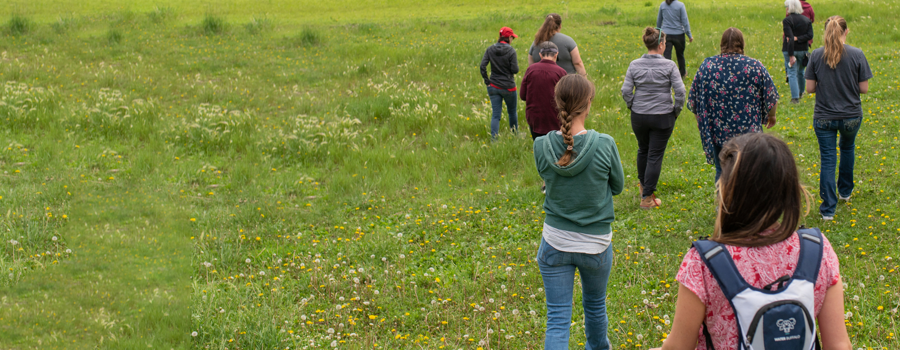 Participants in a field at a workshop